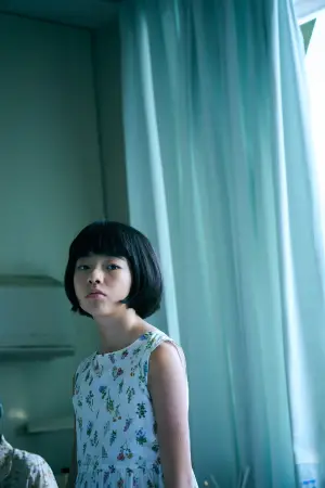 Poster to the movie "Renoir" #539605