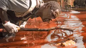 Backdrop to the movie "The Reaping" #378186