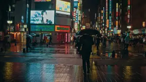 Backdrop to the movie "Streets of Japan" #563271