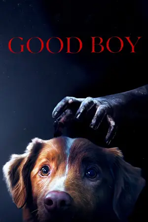Poster to the movie "Good Boy" #517272