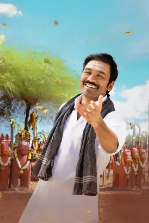 Poster to the movie "Idli Kadai" #635848