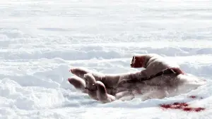 Backdrop to the movie "Wrong Turn 4: Bloody Beginnings" #793647