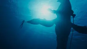 Backdrop to the movie "Avatar: The Way of Water" #161446