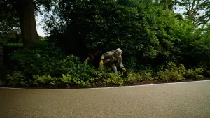 Backdrop to the movie "Bugonia" #511680