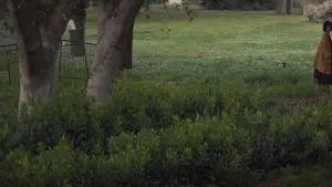 Backdrop to the movie "Embryo Larva Butterfly" #444275