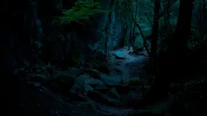 Backdrop to the movie "May the Beasts Come" #416380