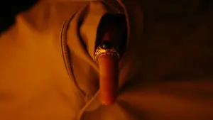 Backdrop to the movie "Birdeater" #664049