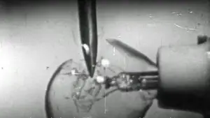 Backdrop to the movie "Report" #741633