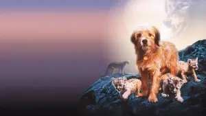 Backdrop to the movie "Benji the Hunted" #415124