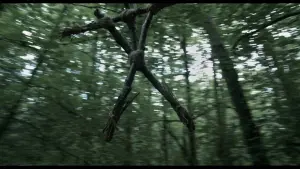 Backdrop to the movie "Curse of the Blair Witch" #400226