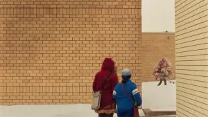 Backdrop to the movie "Universal Language" #654865