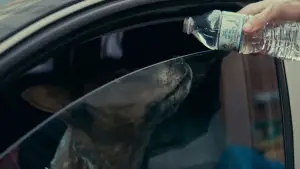 Backdrop to the movie "Locked" #586722