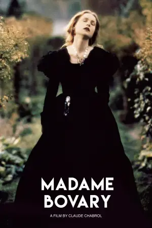 Poster to the movie "Madame Bovary" #732186