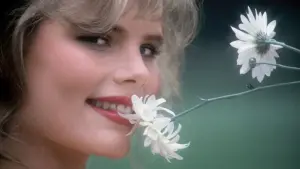 Backdrop to the movie "Star 80" #424462