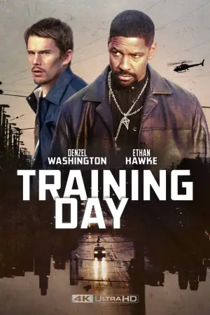 Poster to the movie "Training Day" #630883