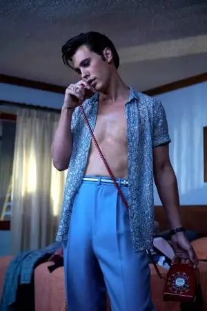 Poster to the movie "Elvis" #804676