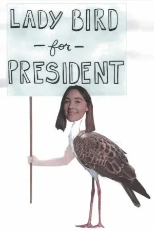 Poster to the movie "Lady Bird" #638857