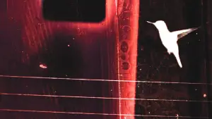 Backdrop to the movie "lessons on flight" #789098