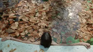 Backdrop to the movie "Y Tu Mamá También" #698353