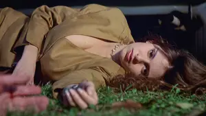 Backdrop to the movie "The Smile of the Fox" #807391