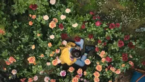 Backdrop to the movie "The Sky Is Everywhere" #435521