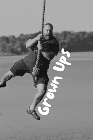 Poster to the movie "Grown Ups" #313805