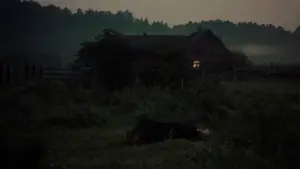 Backdrop to the movie "Mirror" #751475