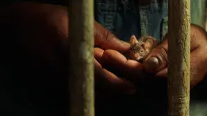 Backdrop to the movie "The Green Mile" #749190