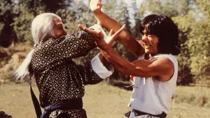 Backdrop to the movie "Fearless Hyena" #382336