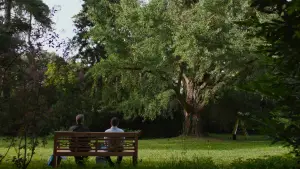 Backdrop to the movie "Silent Friend" #793981