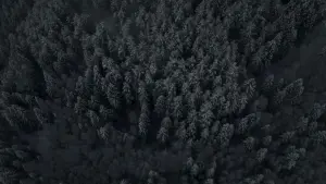 Backdrop to the movie "The Head Hunter" #389687