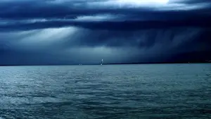 Backdrop to the movie "The Lake" #772406