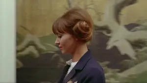 Backdrop to the movie "Pierrot le Fou" #861751