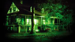 Backdrop to the movie "Trespassing" #661958