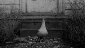 Backdrop to the movie "The Lighthouse" #628638