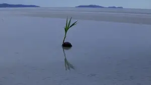 Backdrop to the movie "The Thin Red Line" #650149