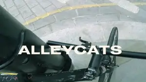 Backdrop to the movie "Alleycats" #731861