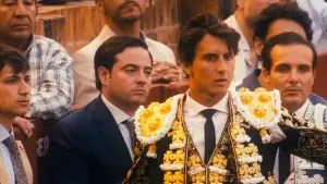 Backdrop to the movie "Afternoons of Solitude" #675270