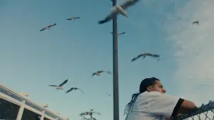 Backdrop to the movie "Mad Bills to Pay (or Destiny, dile que no soy malo)" #776608