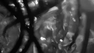 Backdrop to the movie "Terms & Conditions." #781274