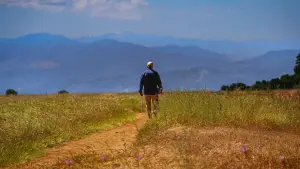 Backdrop to the movie "Ernie and Emma" #645583