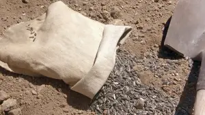 Backdrop to the movie "Holes" #673759