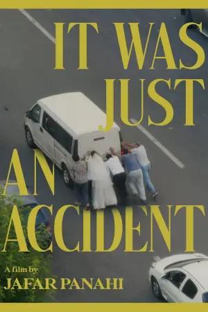 Poster to the movie "It Was Just an Accident" #761570