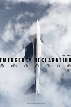 Poster to the movie "Emergency Declaration" #72458