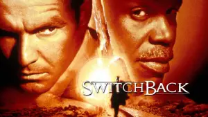Switchback