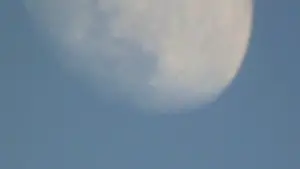 Backdrop to the movie "Moonwalk" #456326