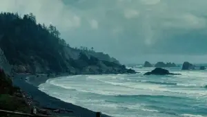 Backdrop to the movie "Twilight" #831309