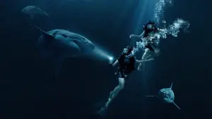 Backdrop to the movie "47 Meters Down" #338062