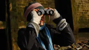 Backdrop to the movie "The Beachcombers" #742240