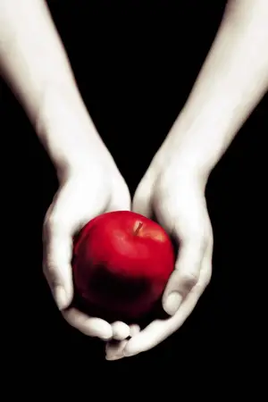 Poster to the movie "Twilight" #519949